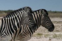 Namibie2004-10