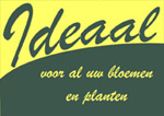ideaal